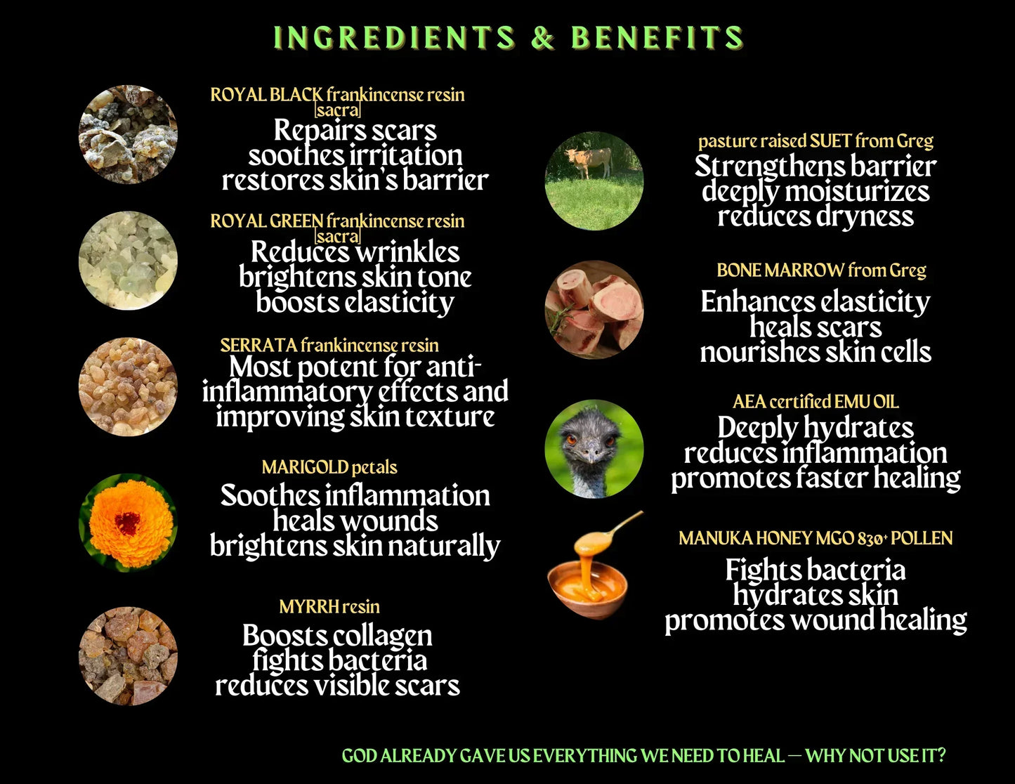 Jesus Provides! Wisemen’s Gifts🎁