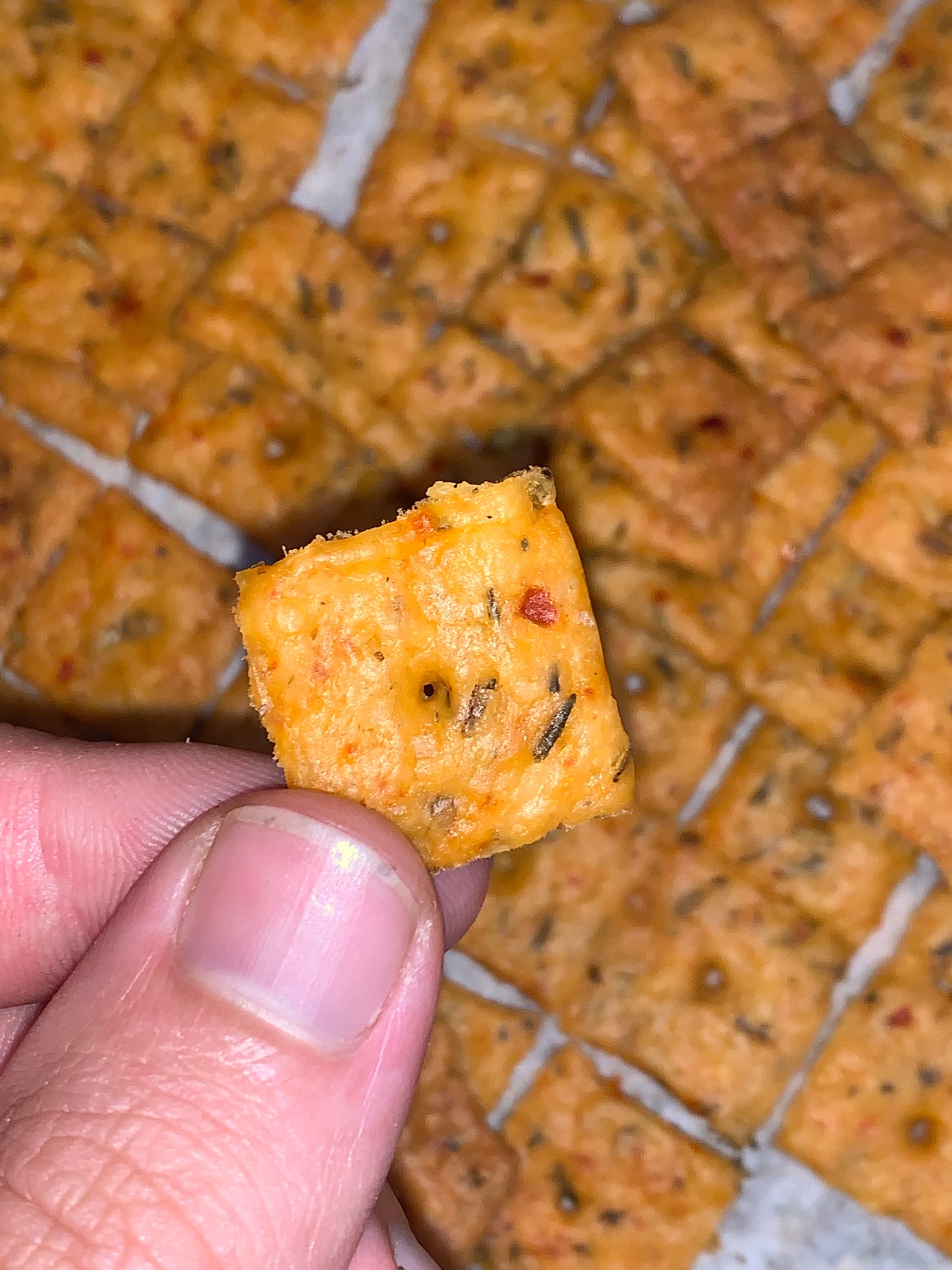 Sourdough Cheez-Itz