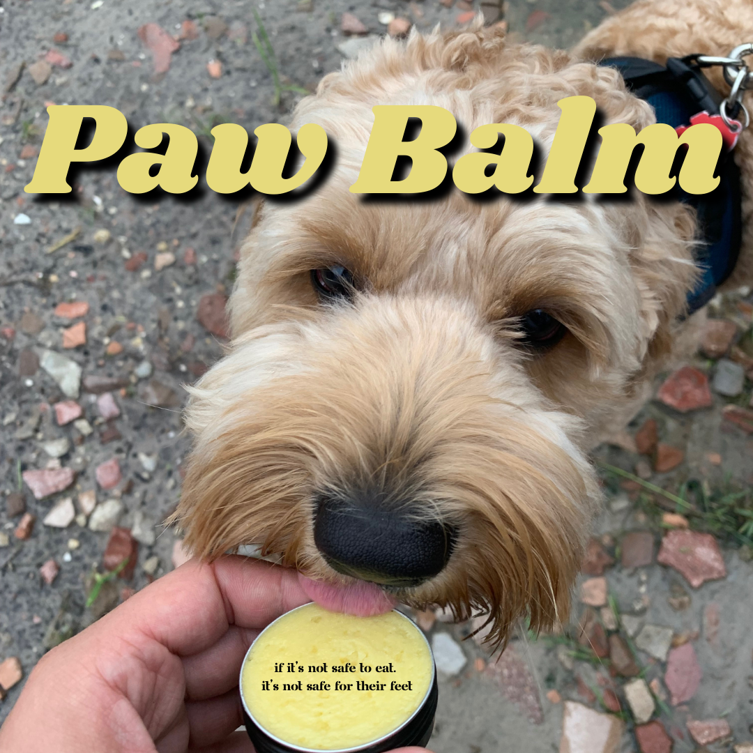 Dog Paw Balm